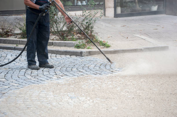 Best Dumpster Area Cleaning  in Fern Park, FL